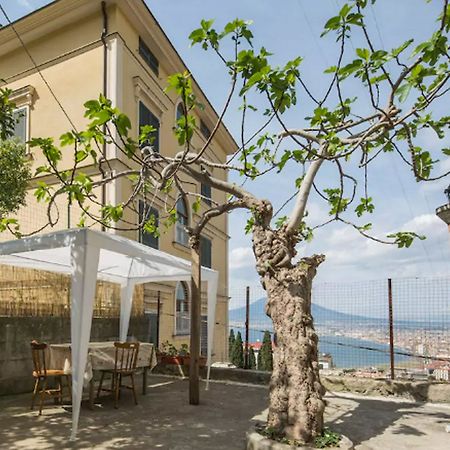 Bed and Breakfast Domus Stabiae Кастелламмаре-ди-Стабия Экстерьер фото